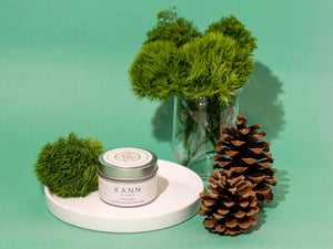 Pinecone Travel Candle 4oz - KANN STUDIO